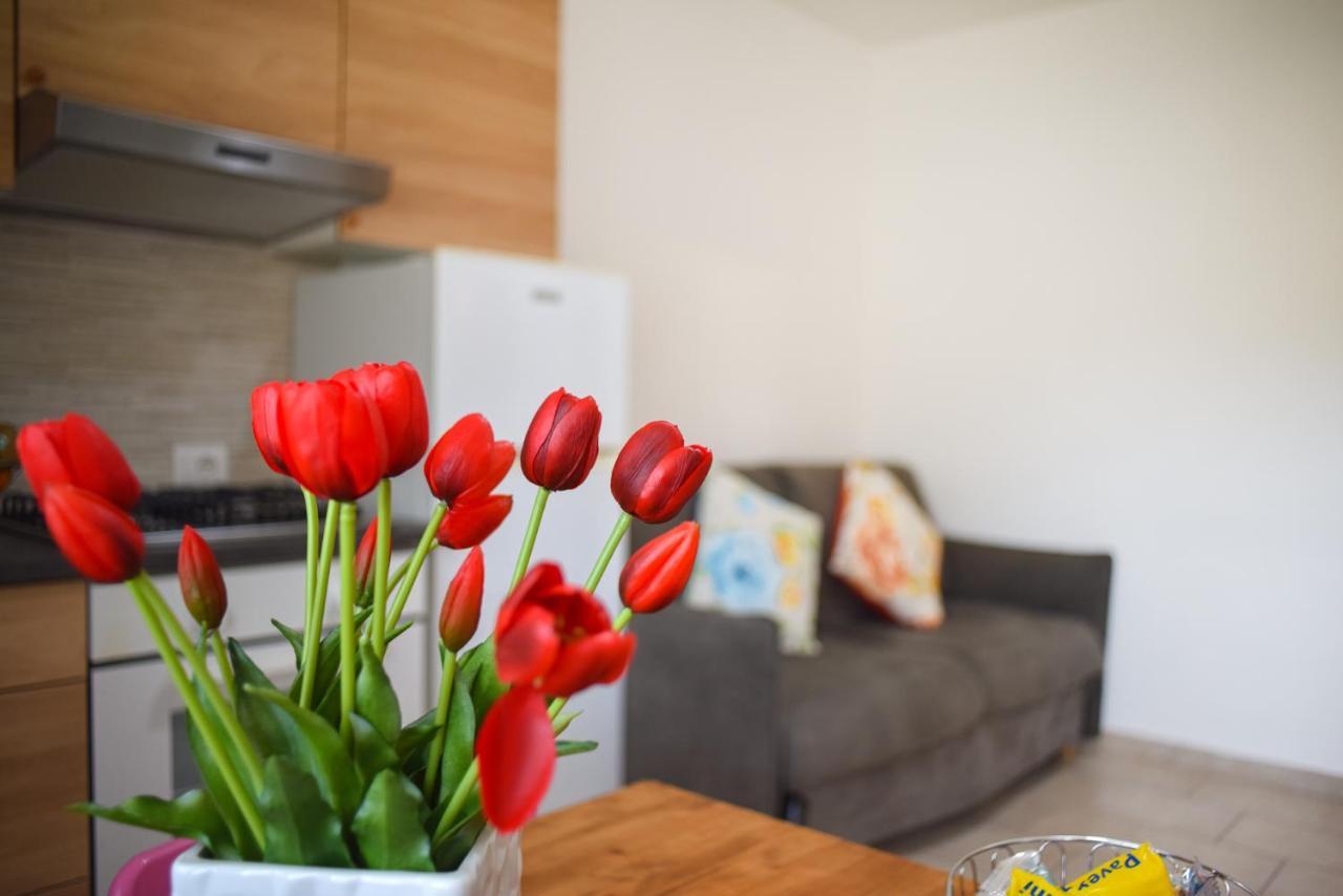 Porto Home イスキア島 エクステリア 写真